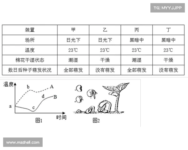 巴阿大战平局局面的五大原因解析与影响因素分析