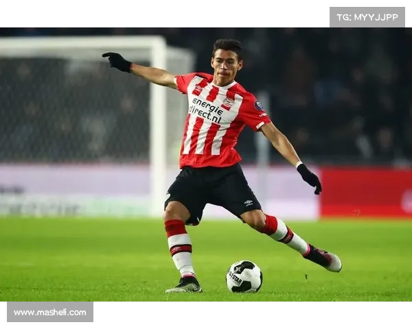 托利索转会里昂背后原因解析及拜仁生涯回顾